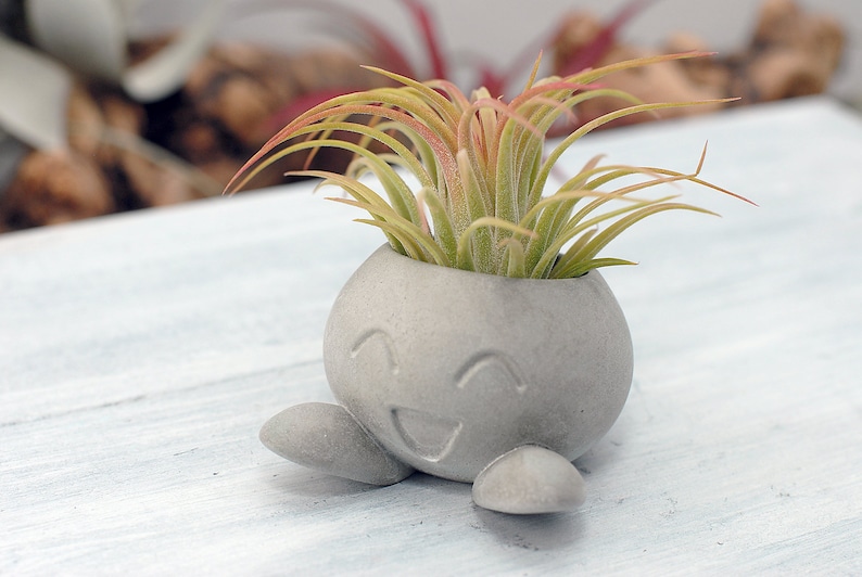 Succulent Planter, Small Radish Anime Creature, Concrete Planter, Office Décor, Home Décor, Cute Concrete Planter, Indoor Planter Concrete Grey