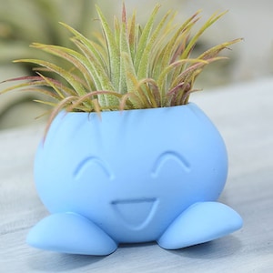 Succulent Planter, Small Radish Anime Creature, Concrete Planter, Office Décor, Home Décor, Cute Concrete Planter, Indoor Planter Baby Blue