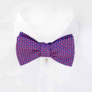 May include: A blue bow tie with a red star pattern.