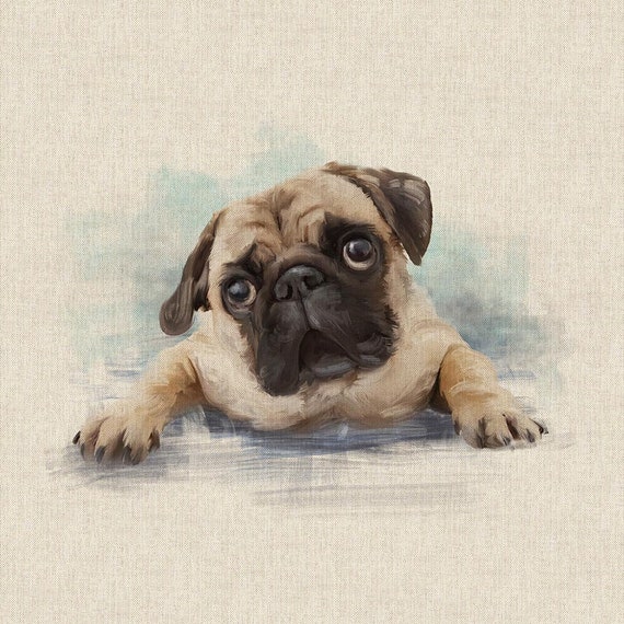 Pugs sunglasses top style m2