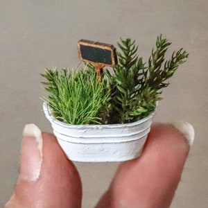 1:12 miniature dollhouse herb sign garden 3d printed