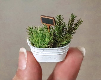 1:12 miniature dollhouse herb sign garden 3d printed