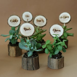 Wedding table decors- place cards and a gift for guests. Naturally dried oak pots for succulents with laser engraved wooden name tags. Set of 6 in this picture on a brown background