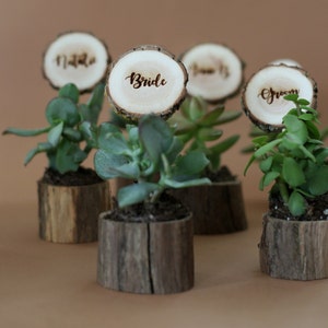 10 tarjetas de boda de madera con macetas para suculentas, decoración de mesa floral rústica y regalo único para invitados. imagen 2