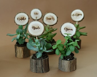 10 Wooden wedding  place cards with pots for succulent, Rustic floral table décor and unique Gift for guests