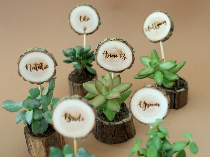 Wedding table decors- place cards and a gift for guests. Naturally dried oak pots for succulents with laser engraved wooden name tags. Set of 6 in this picture on a brown background