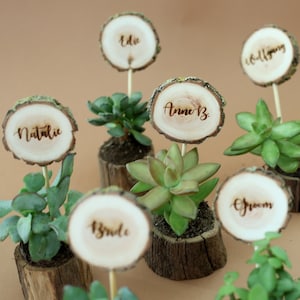 These are small, real wood pots for mini succulents + wood slice name tags so this product will be great as a gift for guest and a place card on a wedding table.
