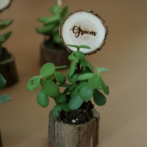 Wedding table decors- place cards and a gift for guests. Naturally dried oak pots for succulents with laser engraved wooden name tags. Closer look an a name tag with name "GROOM" on it.