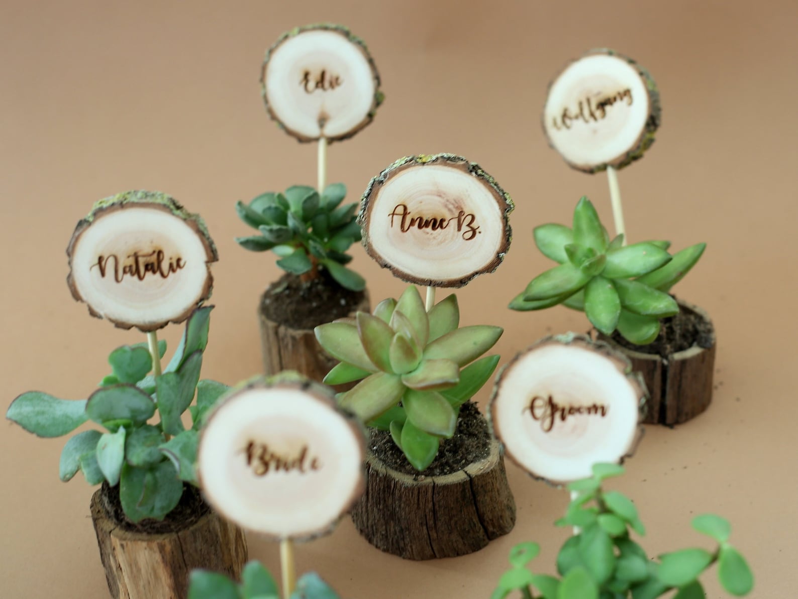 50pcs Bulk Wedding Favors for Guests Wood Pots for Succulents Etsy