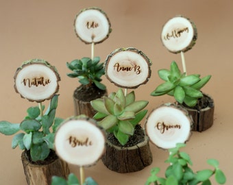 30pcs Bulk wedding favors for guests, wood pots for succulents with name tag, rustic place cards