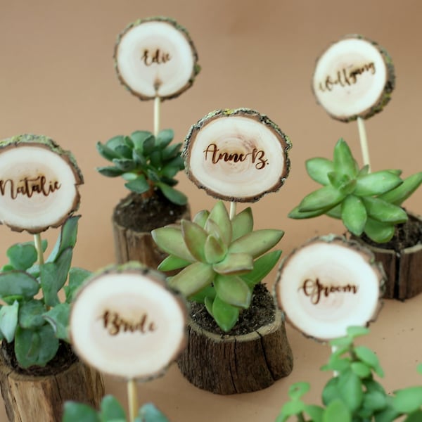 20pcs Bulk wedding favors for guests, wood pots for succulents with name tag, rustic place cards