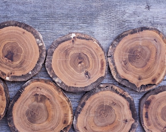 Wood slices Wood slabs DIY supply Crafts wood Tree slices Wedding DIY Log slices Wood supplies for DIY projects Set of 10 4'' rustic