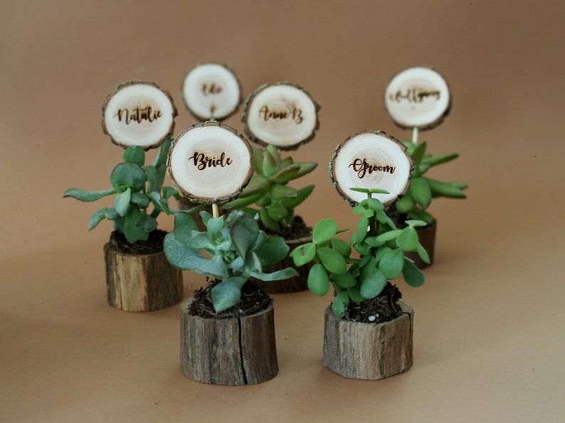 Wedding table decors- place cards and a gift for guests. Naturally dried oak pots for succulents with laser engraved wooden name tags. Set of 6 in this picture on a brown background