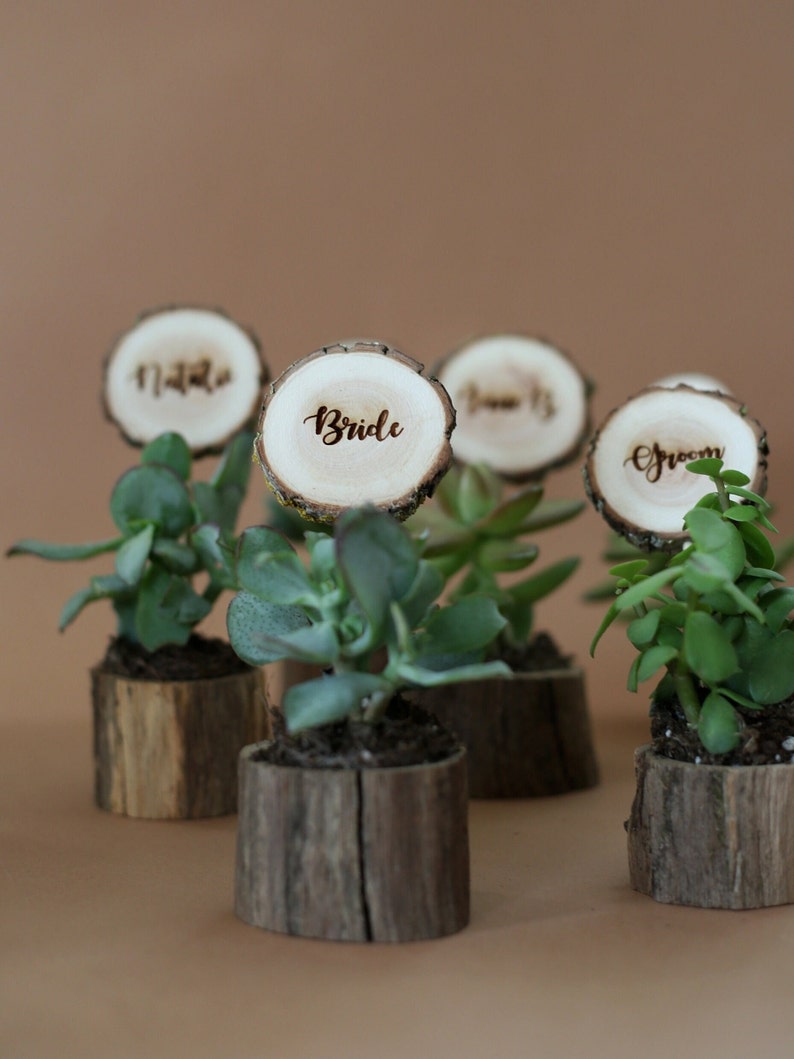 10 tarjetas de boda de madera con macetas para suculentas, decoración de mesa floral rústica y regalo único para invitados. imagen 2