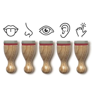Mini rubberen stempelset FIVE HUMAN SENSES Ø 12 mm / set van 5 stempels