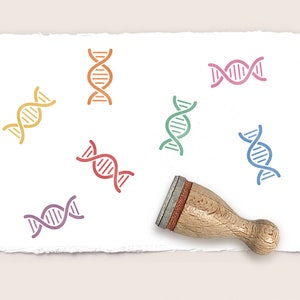 Op de afbeelding: Een houten stempel met een rode rubberen pad en een houten handvat. De stempel wordt gebruikt om een ontwerp van een DNA-dubbele helix in verschillende kleuren te maken, waaronder rood, oranje, geel, groen, blauw en paars.