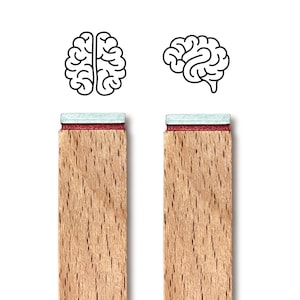 Puede incluir: Dos sellos de madera con ilustraciones de cerebro. Un sello muestra un cerebro dividido por la mitad, y el otro muestra un cerebro completo. Los sellos tienen un mango de madera marrón claro con una parte superior roja y azul claro.