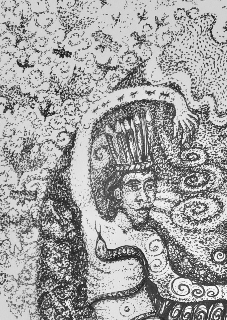 Drawn in the Peruvian Amazon unframed. ON SALE The Icaro of the Black Robin Art print signed mounted print of a pen and ink drawing