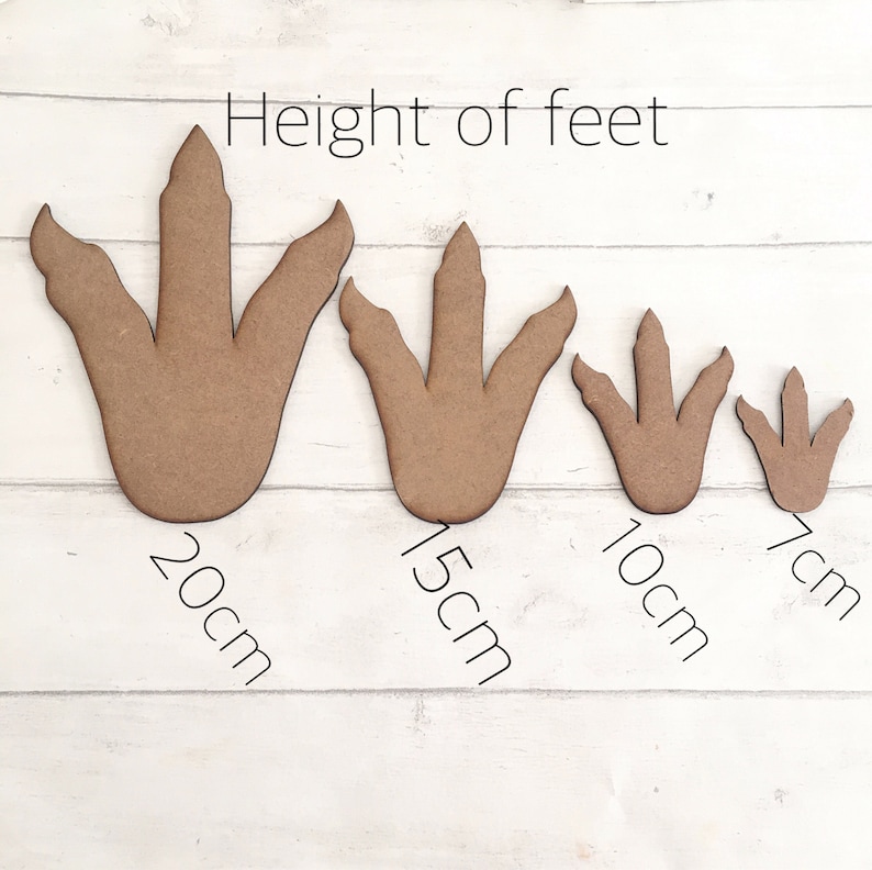 May include: Four wooden dinosaur footprints of varying sizes. The footprints are labeled with their height in centimeters: 20cm, 15cm, 10cm, and 7cm. The text "Height of feet" is written above the footprints.