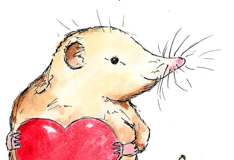 Love Birthday Card Animal Birthday Card Valentines Card Kindness card Love Card Valentines Day