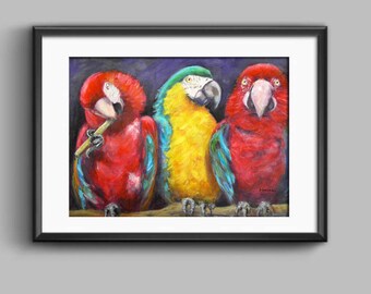 Parrot Print, Parrot Art, Maccaw Art, Parrots, Wall Art