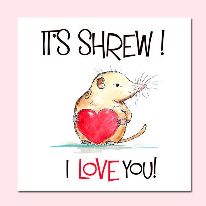 Love Birthday Card Animal Birthday Card Valentines Card Kindness card Love Card Valentines Day