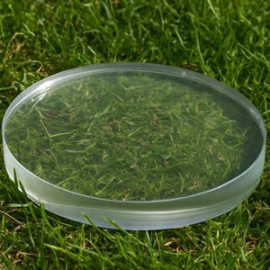 May include: A clear, circular, glass petri dish sits on a bed of green grass. The dish is empty, and the grass is visible through the transparent glass. The dish has a slightly raised edge.