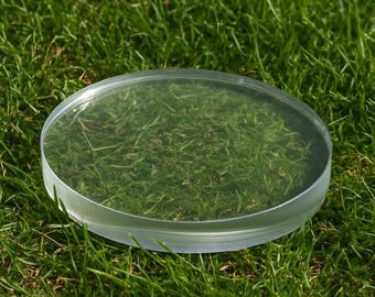 May include: A clear, circular, glass petri dish sits on a bed of green grass. The dish is empty, and the grass is visible through the transparent glass. The dish has a slightly raised edge.