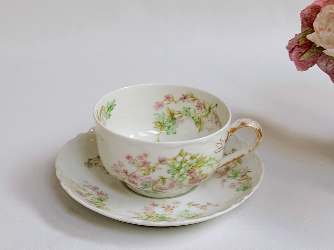 Teacup and Saucer Haviland France Haviland & Co. Limoges France