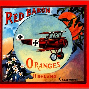 Carte postale oranges Baron rouge vintage en avion