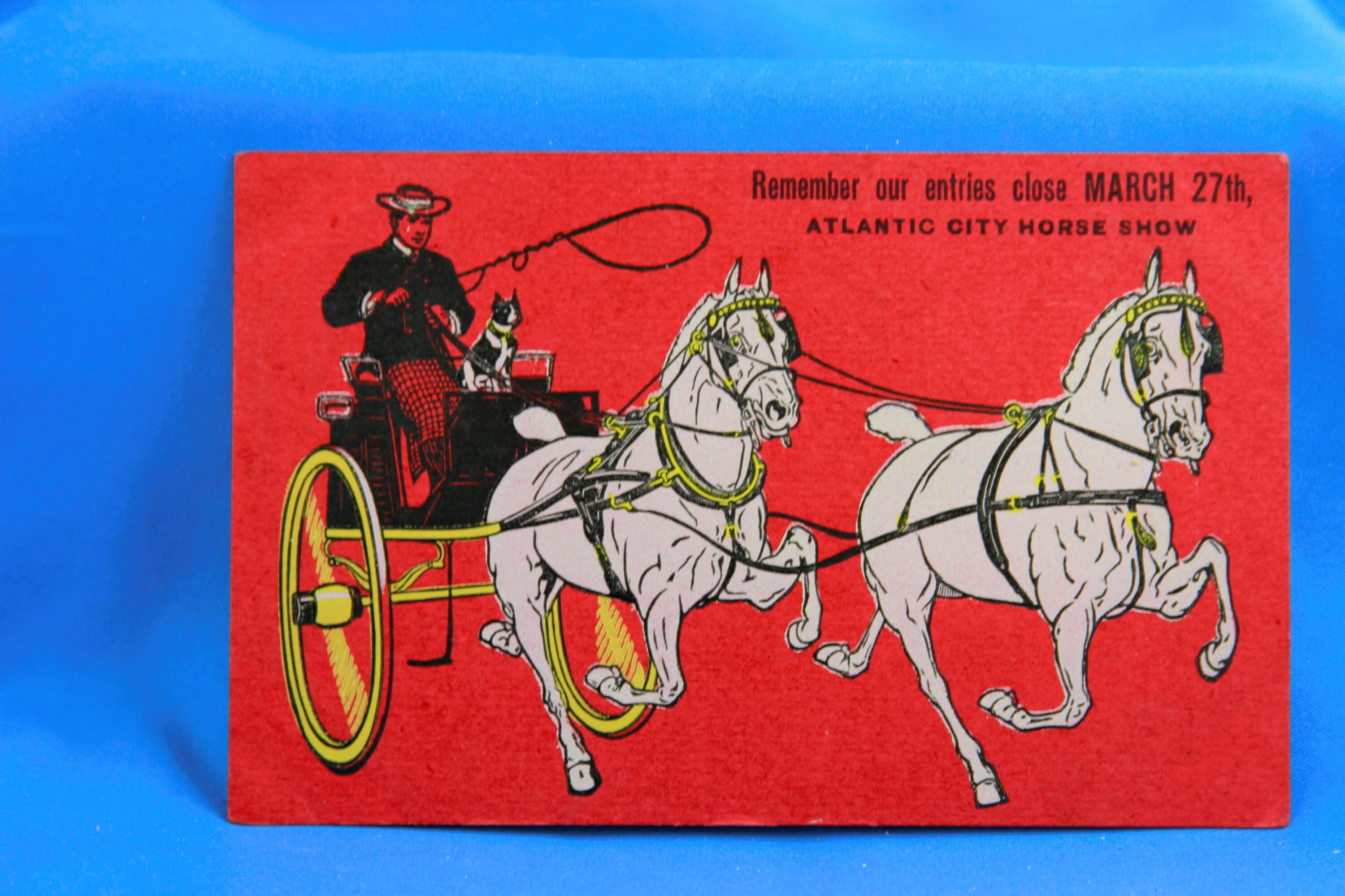 1909 Atlantic City Advertising postcard Horse Show