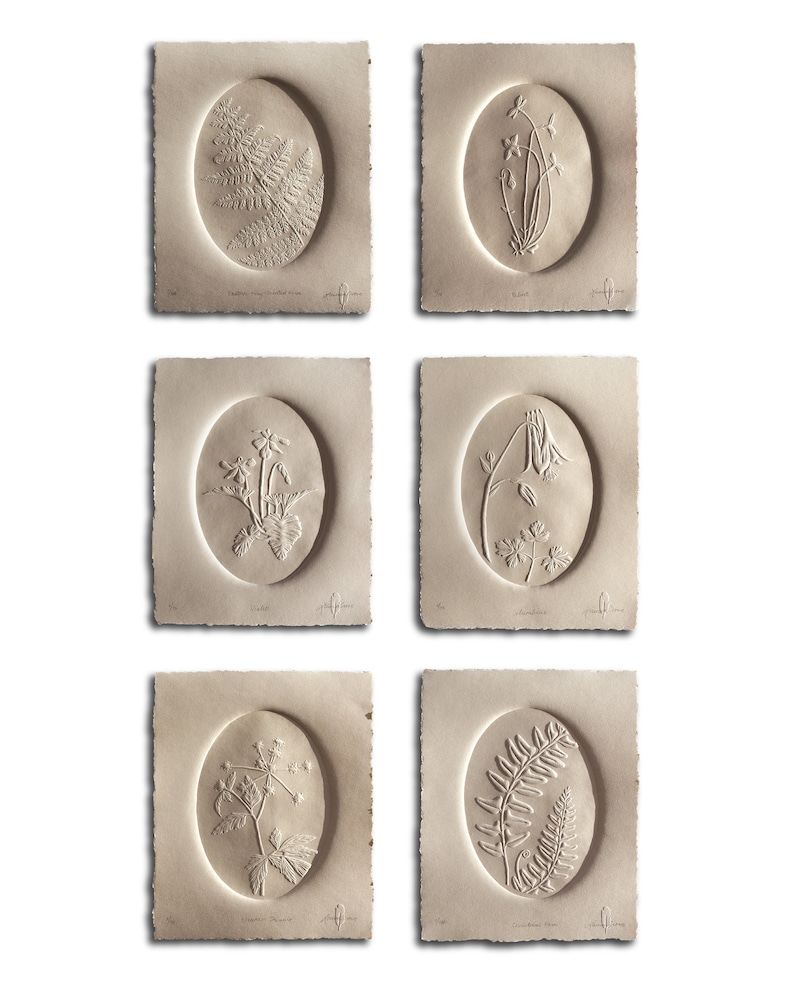 Columbine | Blind Embossed, Limited Edition, Hand-carved Block Print ...