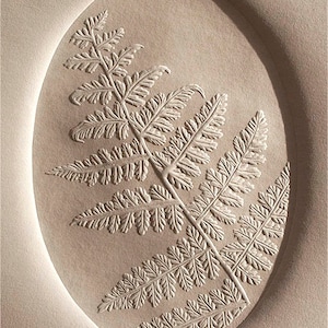 Eastern Hay-Scented Fern | Blind Embossed, Limited Edition, Hand-Carved Block Print, Botanical, Native Plants, North Carolina, Appalachian