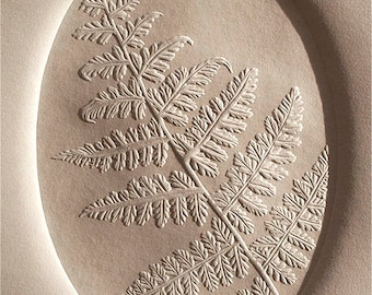 Eastern Hay-Scented Fern | Blind Embossed, Limited Edition, Hand-Carved Block Print, Botanical, Native Plants, North Carolina, Appalachian