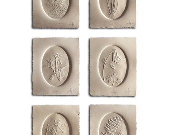 Cameo Series - Set of 6 Original Prints | Blind Embossed, Hand-Carved Block Print, Botanical, Native Plants, Carolina, Appalachian