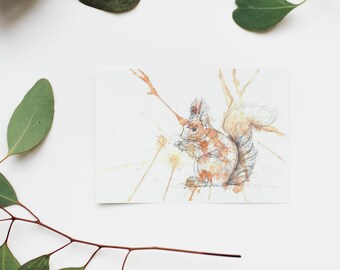 Percy the Squirrel Limited Edition Print