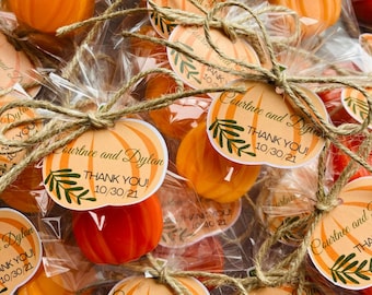 Glycerin Pumpkin Soap Assortment