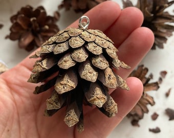 May include: A brown pine cone ornament with a silver loop for hanging. The pine cone is a natural material and has a rustic look.