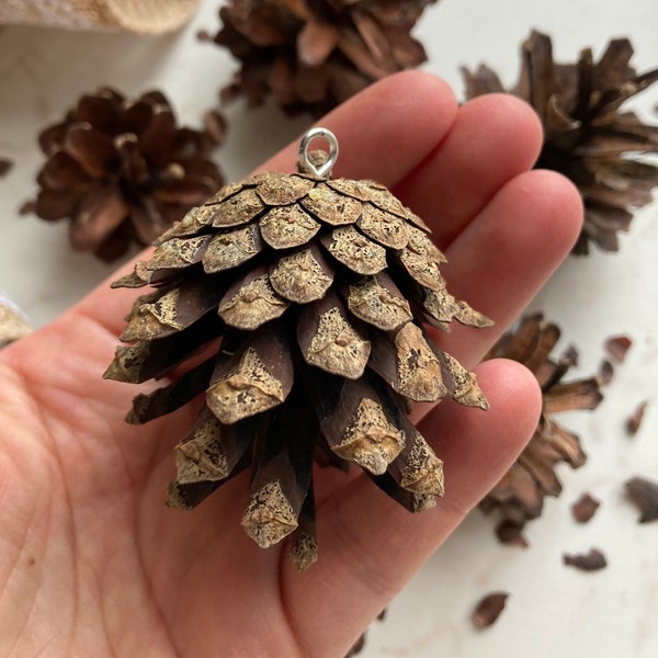 10pcs pine cones with loop, Christmas tree ornaments, Cones with hook, Minimalism woodland decors, Natural plastic free Christmas ornaments,