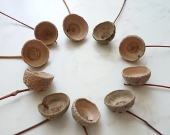 20 grosses casquettes en gland, Chapeaux en chêne naturel, Mariages rustiques, Bricolage d'automne en forme de gland, Fournitures pour bijoux en feutre, Projets de terrarium en bois