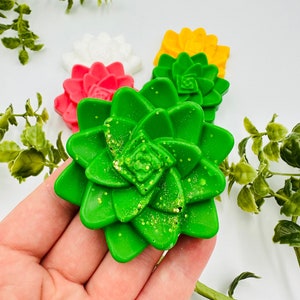 10pcs succulenti sapone favori per i regali di addio al nubilato, bomboniere in stile messicano, Boho grazie regali, bomboniere occidentali fiore del deserto