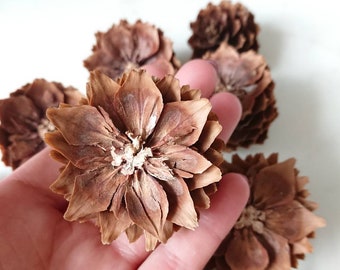 20pcs spruce cones cut in flower shape, Fir sliced wooden cones, Dry natural christmas wreath stuff, Winter wedding rustic table decorations