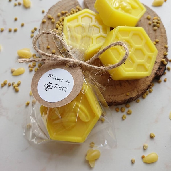 10pcs Meant to bee favors, Pair of honey soaps, Bee combs soap favors, Bee theme party favors, Country wedding guest favors, Beekeeper gifts