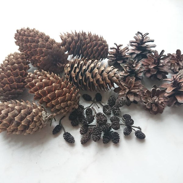 Natural cones mix, Dry tree cones set, Basic christmas wreath materials, Floristic winter wedding table decorations, Spruce/pice/alder cones