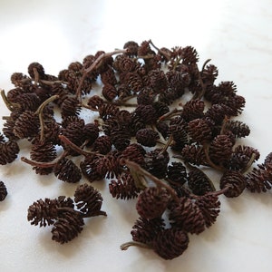 May include: A pile of dried brown alder cones, also known as catkins, on a white surface. The cones are small and have a rough texture.