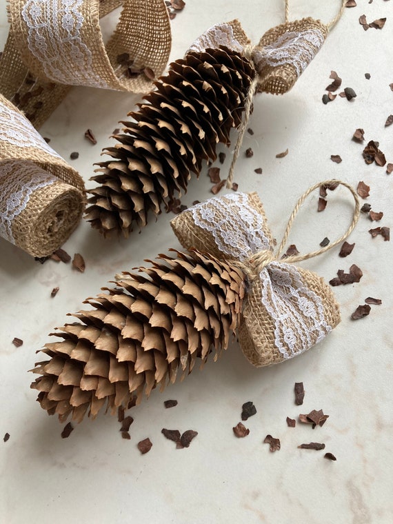 Pine Cones and Snowflakes ~ Winter Decor  The Week at a Glance 1/4 - An  Extraordinary Day