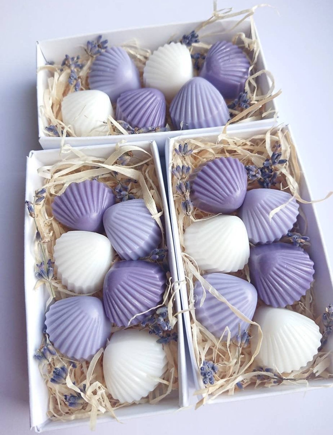 Sea Shells Soap Gift Set Purple Shades Soaps Lavender Soap - Etsy