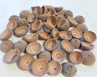 40pcs mixed size acorn caps with hole, Real acorn hats, Natural wooden caps with hole, Felting supplies, Natural jewelry caps mixed size