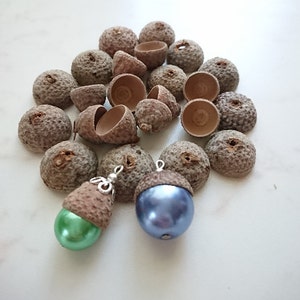 May include: A collection of acorn caps with two acorns with a blue and green pearl attached to them. The acorns are ready to be used for crafting.