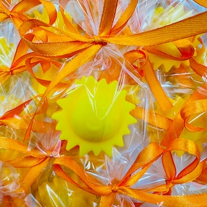 Bomboniere per sapone solare da 40 pezzi Arriva il figlio Bomboniere per baby shower Sunshine A tema estivo per il primo viaggio intorno al sole Bomboniere per il sole felice